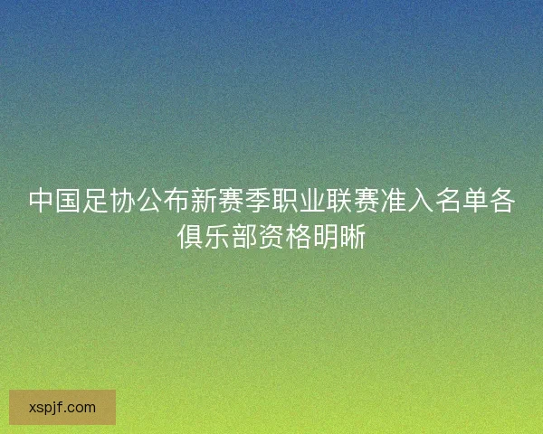 中国足协公布新赛季职业联赛准入名单各俱乐部资格明晰