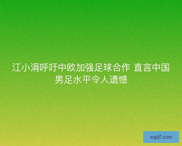 江小涓呼吁中欧加强足球合作 直言中国男足水平令人遗憾