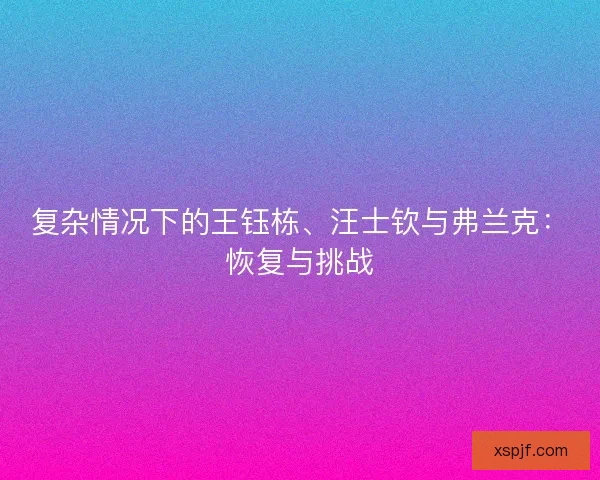 复杂情况下的王钰栋、汪士钦与弗兰克:恢复与挑战 复杂情况下的王钰栋、汪士钦与弗兰克:恢复与挑战