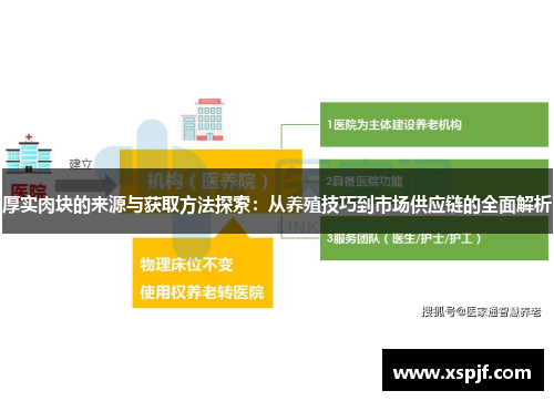 厚实肉块的来源与获取方法探索：从养殖技巧到市场供应链的全面解析