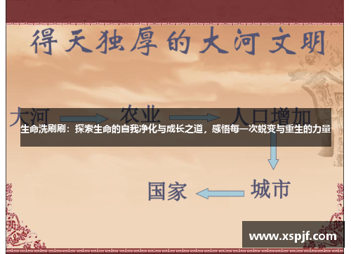 生命洗刷刷：探索生命的自我净化与成长之道，感悟每一次蜕变与重生的力量